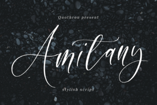 Amitany for Creative Branding and Web Design