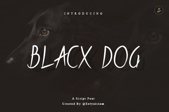 Blacx Dog: A Script Handwritten Font for Modern Digital Branding
