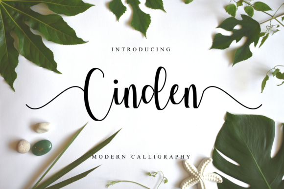 Cinden: A Flowing Handwritten Font for Authentic Campaign Design