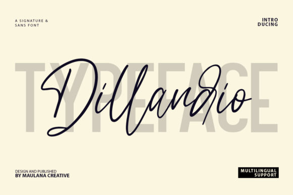 Dillandio: A Luxurious Sans Serif Font for Designers