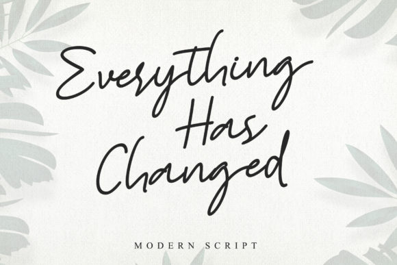 Everything Has Changed: A Timeless Script Handwritten Font