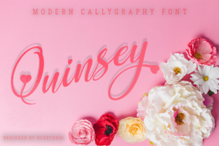 Quinsey: A Script Handwritten Font for Thoughtful Editorial Moments