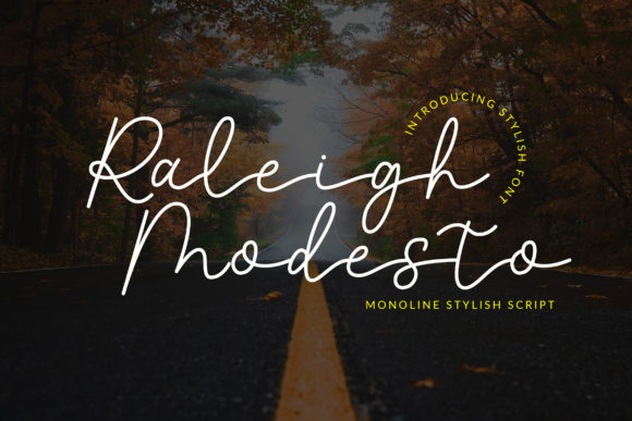 Raleigh Modesto: A Script Handwritten Font That Sharpens Your Campaign Voice