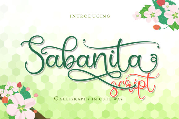 Sabanita: A Script Handwritten Font for Creative Web Design