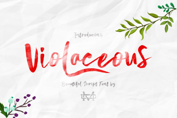 Violaceous: A Timeless Script Font for Creative Branding